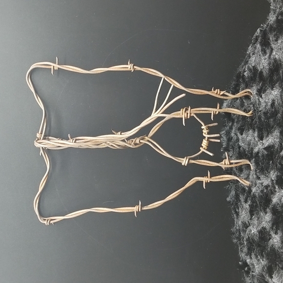 Other - Barbed Wire Cow's Butt